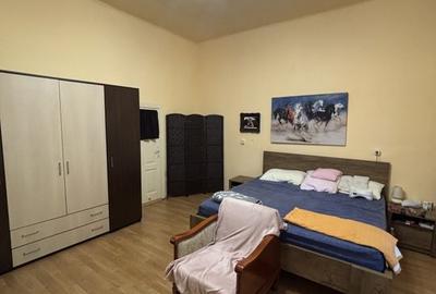 Casa cu teren și grădina zona Bogdanestilor Casa cu teren și grădina zona Bogdanestilor - 18