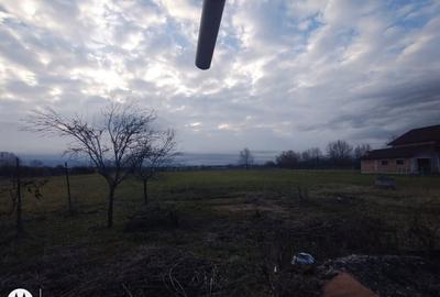 Satulung 17 km de Baia Mare, vindem gospodarie traditionala cu 26 ari Satulung 17 km de Baia Mare, vindem gospodarie traditionala cu 26 ari - 5