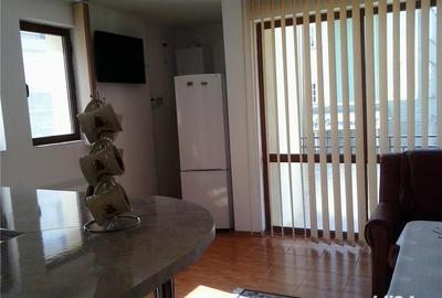 Casă cu 2 camere în Banat - 9