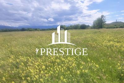 Teren agricol extravilan de 1000 mp, în Șelimbăr - 6
