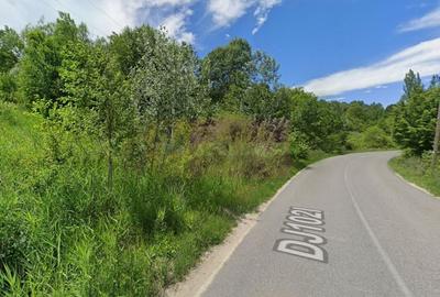 Teren intravilan de vanzare in Lunca Mare (la 10 km de Valea Doftanei) - 1