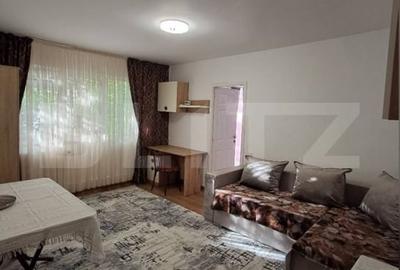Apartament cu 2 camere nedecomandat, mobilat în Alexandru cel Bun - 1