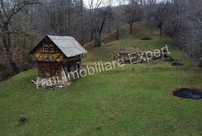 Teren de vanzare in comuna Arefu, jude? Arge?. - 5