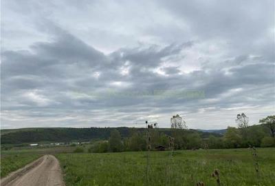 Oportunitate investitie | Teren 10 000 mp cu constructie 530 mp la 10 km de Viscri - 5