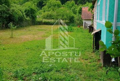 Casa batraneasca de vanzare | 4 camere | Hunedoara | Micane?ti - 12