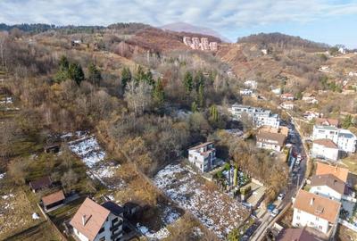 Teren Construcții intravilan de 3731 mp, în Schei - 5