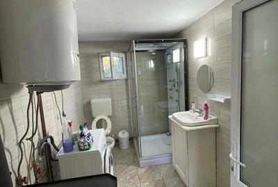 Casă cu 2 camere cu Teren 300 Mp în Nădrag - 3