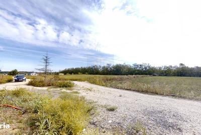 Casă cu 4 camere în Bălteni - 3