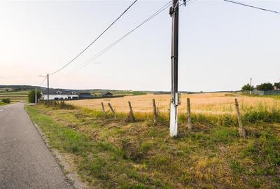 RECO Teren intravilan pentru casa  Lazareni - 10