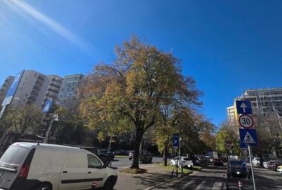 Apartament cu 2 camere circular, mobilat în Pantelimon - 5