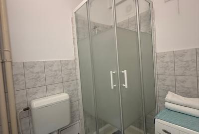 Apartament cu 2 camere decomandat, mobilat în Ultracentral - 18