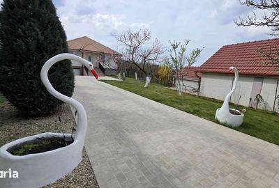 Casă cu 3 camere cu Teren 1008 Mp în Sânmartin - 8