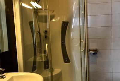 Apartament de 3 camere la lac - 13