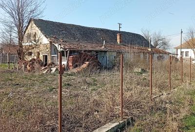 Casă cu Teren 2503 Mp în Central - 2