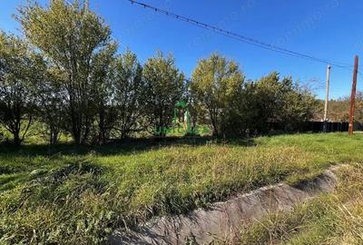 Teren intravilan/Str Balciului/Copacelu - 2