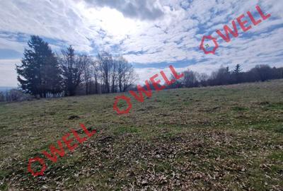 De vânzare teren extravilan în localitatea Brădet! De vânzare teren extravilan în localitatea Brădet! - 6