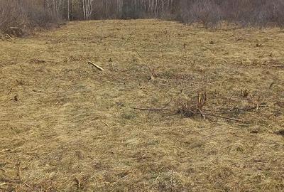 Teren de 2000 mp, în Sebeș