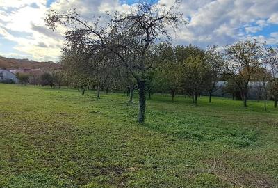 Spațiu comercial, în Central - 3
