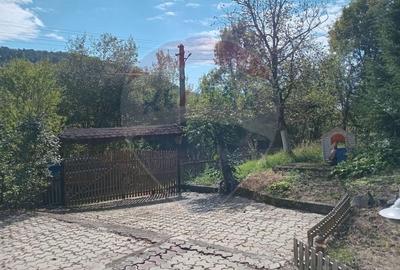 OCAZIE!!! CASA SUPERBA cu teren in JULITA jud Arad in M tii Zarandului - 44