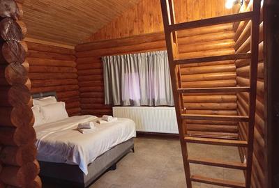 Casă cu 4 camere cu Teren 6240 Mp în Valea Mare - 3