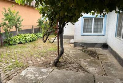 Casă cu 3 camere cu Teren 1127 Mp în Central - 2