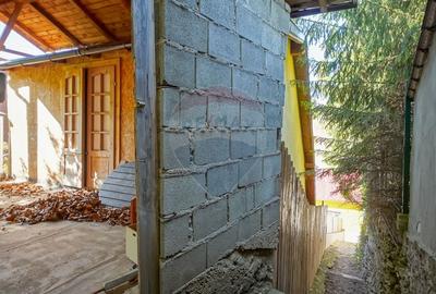 CASA 3 CAMERE CU 86 MP, BECI, POD SI CURTE | ZONA SCHEI - 35