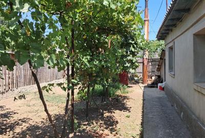 Casa 4 camere - Tuzla - zona Centrala - 85.000 euro (Cod E2+E8) - 16