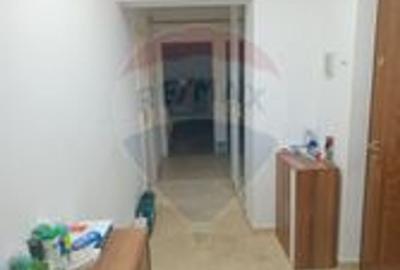Apartament  4 camere de inchiriat MALUL MURESULUI - 28