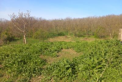 Casă cu 3 camere în Rusca - 7