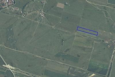 Teren agricol extravilan de 15000 mp, în Giroc - 4