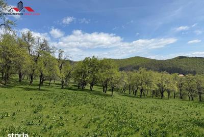 Teren de 8330 mp, în Vințu de Jos - 8