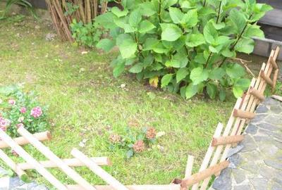 Busteni-Valea Alba-Casa de vacanta cu patru camere - 12