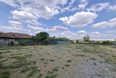 Teren logistic 907 mp de inchiriat/ Aurel Vlaicu - 9