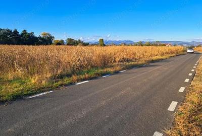 Teren de 7526 mp, în Băcia - 4