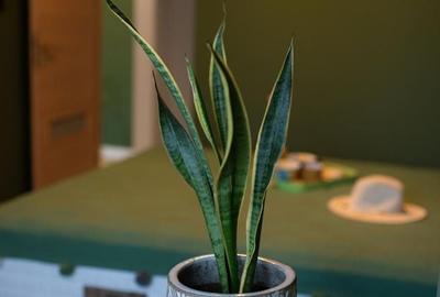 Apartament cu 2 camere în 1 Decembrie 1918 - 18