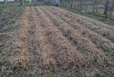 Casă cu 4 camere în Petid