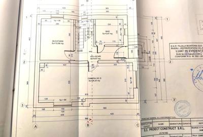 Casă cu 5 camere cu Teren 1340 Mp în Radu Negru - 8