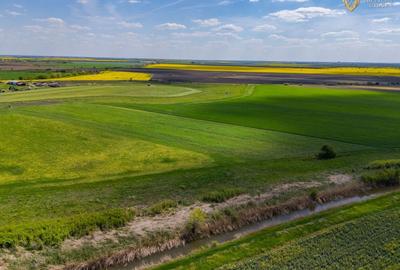 Teren agricol extravilan de 18000 mp, în Turnu - 8