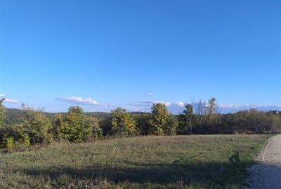 PECO Teren intravilan Saldabagiu De Munte PECO Teren intravilan Saldabagiu De Munte - 1