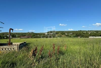 Teren intravilan parcelat de 10365mp, Șimnicu de Sus, sat Dutulesti - 2