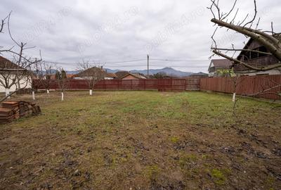 Casa de vanzare in Seini zona lini?tita, teren generos, livada ?i acces din doua strazi - 6