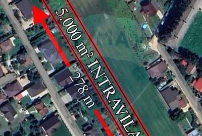 Teren Construcții intravilan de 5000 mp, în Lilieci - 2