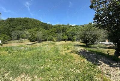 Casa cu 2 camere 53 mp in Lesnic, COMISION 0 PENTRU CUMPARATOR - 9