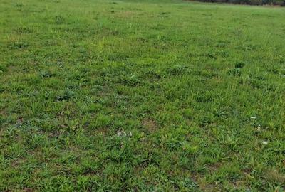 Spațiu comercial, în Mărcești - 1