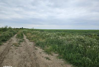 Teren de 14832 mp, în Central - 5