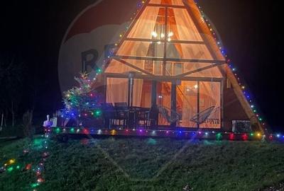 Casă cu 3 camere cu Teren 1256 Mp în Giulești - 3