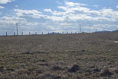 Teren de 3600 mp, în Central - 2