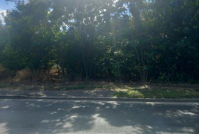 Jiava, CFR Arcom, langa baza sportiva - 3