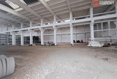 Spațiu industrial, de 2,200 mp, în Șagului - 1