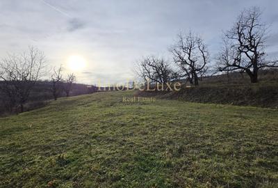 Teren extravilan langa lac, 8500mp, priveliste, acces, utilitati, zona Baciu - 5